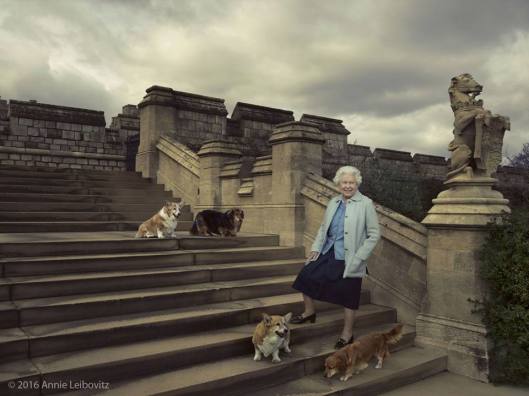 La Regina e i suoi quatto cani al castello di Windsor.